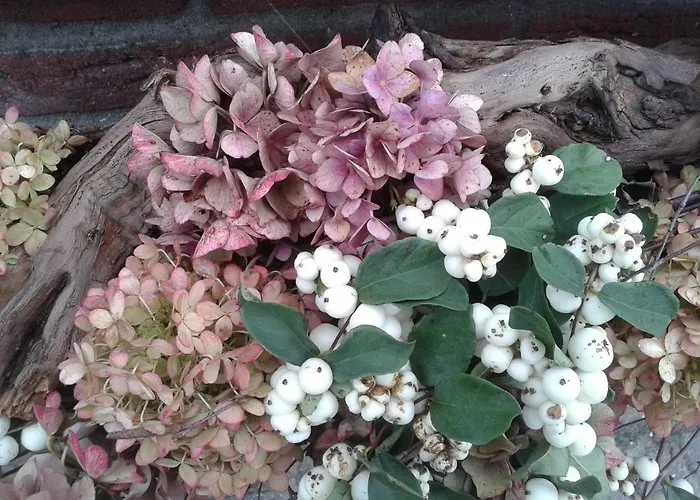 Pensión Boerderij De Spijken Ammerzoden